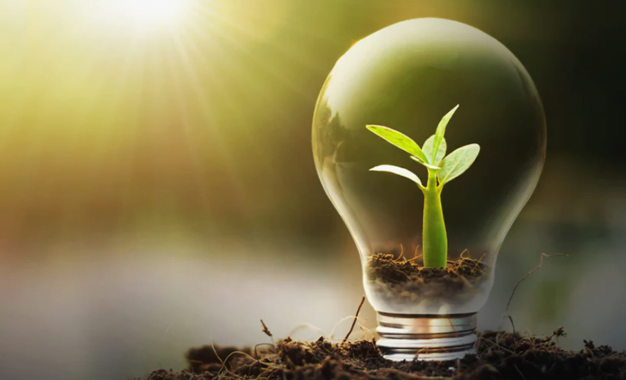 tips on how to save on your electricity bills